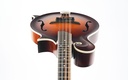 Bulas F-Style Standard Mandolin-12.jpg