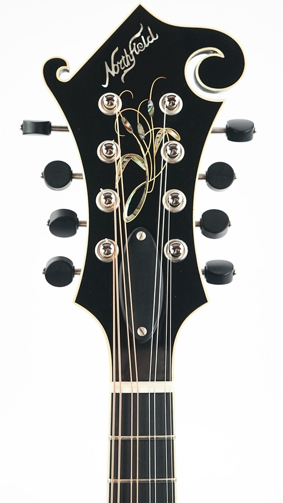 Northfield NFAF51I Italian Spruce Maple-4.jpg