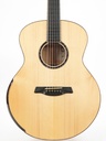 Maestro Original Raffles FM SB A Flamed Maple Adirondack 2019-3.jpg