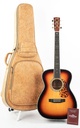 Blueridge BR283 Sunburst-1.jpg