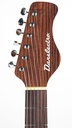 Danelectro E-Sitar Red Crackle 2025-4.jpg