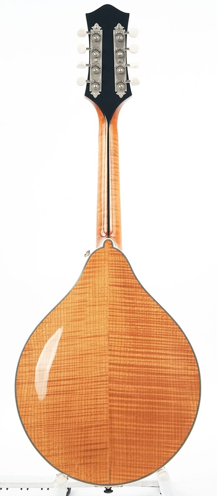 [M0823105] Bourgeois M5A Mandolin Aged Tone Natural 2023-7.jpg