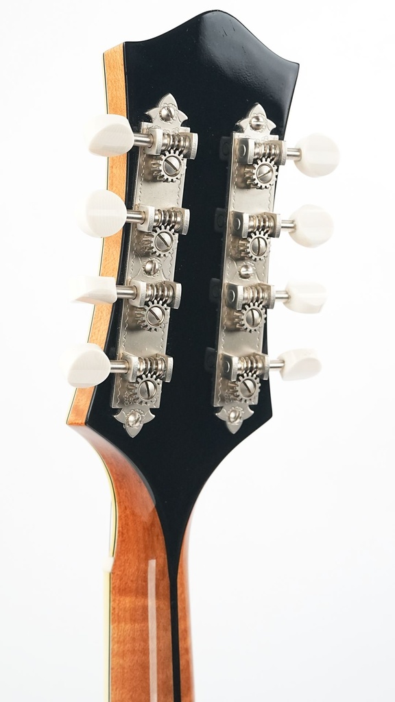 [M0823105] Bourgeois M5A Mandolin Aged Tone Natural 2023-5.jpg