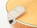 [M0823105] Bourgeois M5A Mandolin Aged Tone Natural 2023-11.jpg