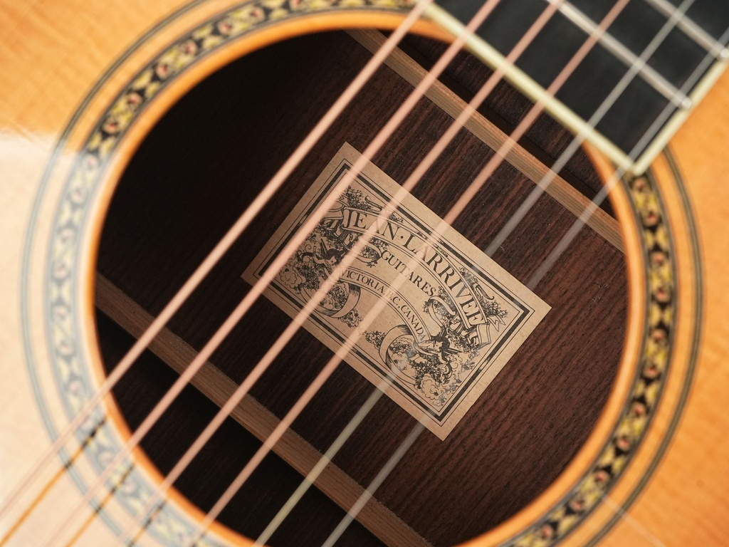 Larrivee D Custom 1993-11.jpg