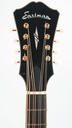 Eastman MDC805 Mandocello-4.jpg