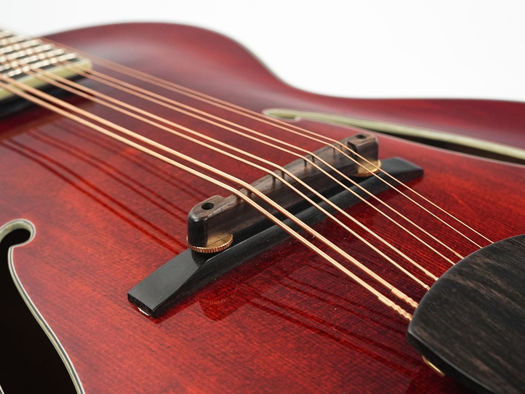 Eastman MDC805 Mandocello-10.jpg