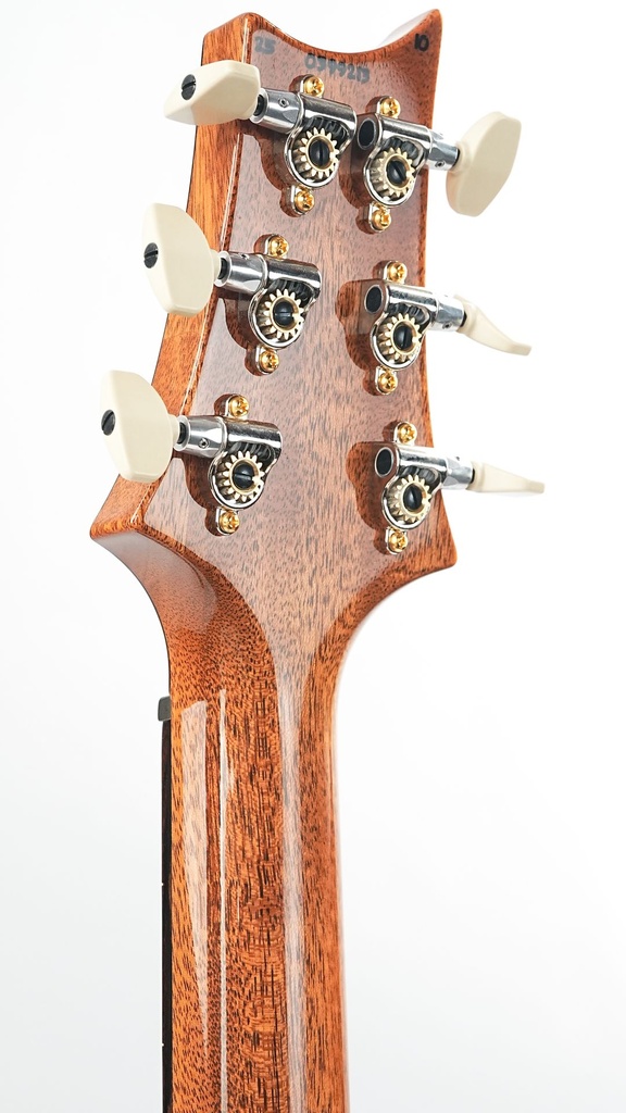 PRS 40th Custom 24 08 Semi Ltd WBN 2024-5.jpg