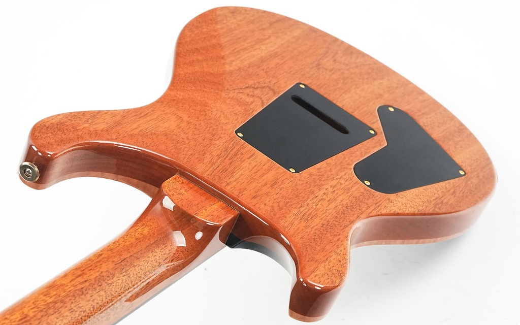 PRS 40th Custom 24 08 Semi Ltd WBN 2024-9.jpg