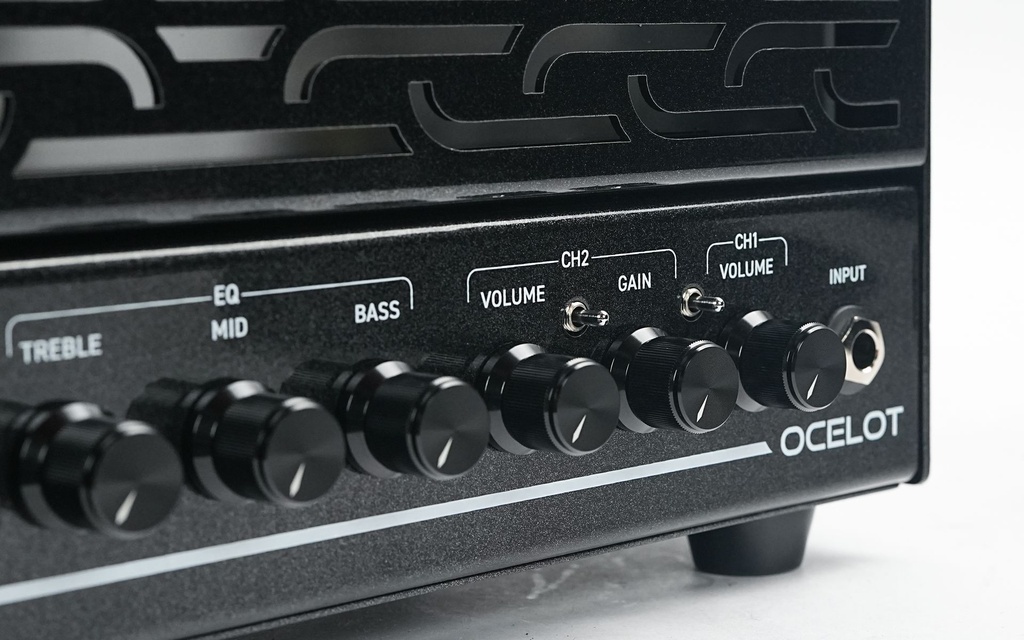 Bad Cat Ocelot Amp Head-7.jpg