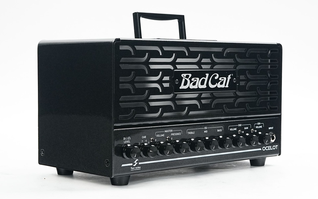 Bad Cat Ocelot Amp Head-8.jpg
