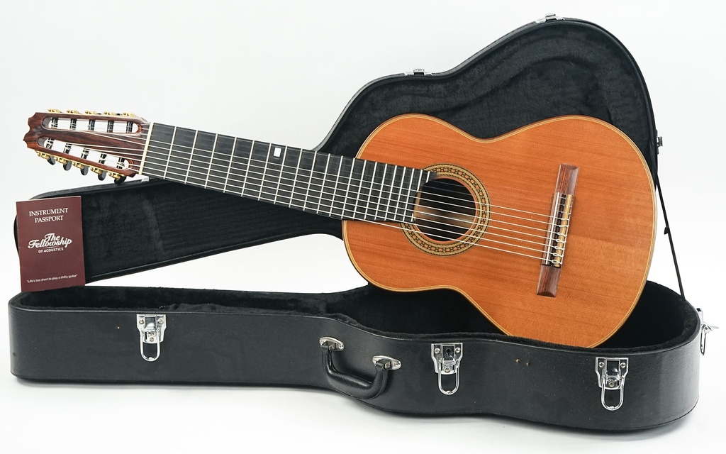 Changye MG90 10 String 2010-1.jpg