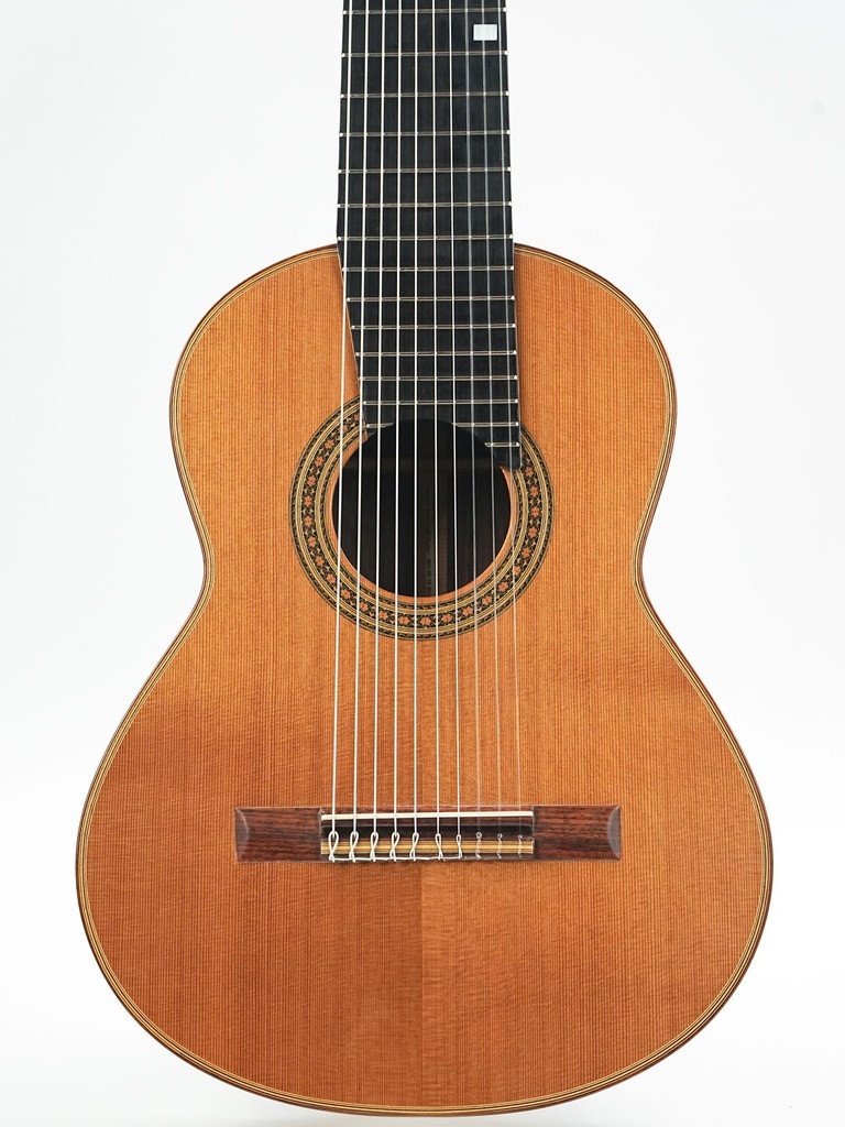 Changye MG90 10 String 2010-3.jpg