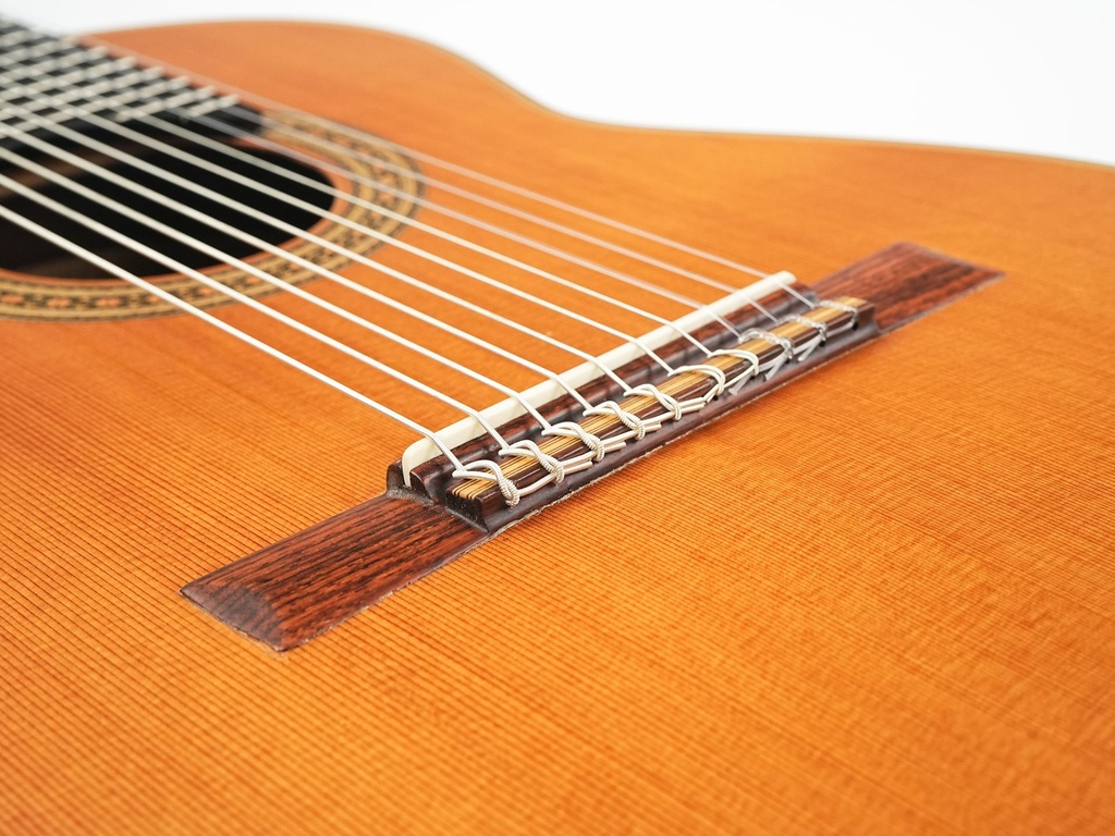 Changye MG90 10 String 2010-10.jpg