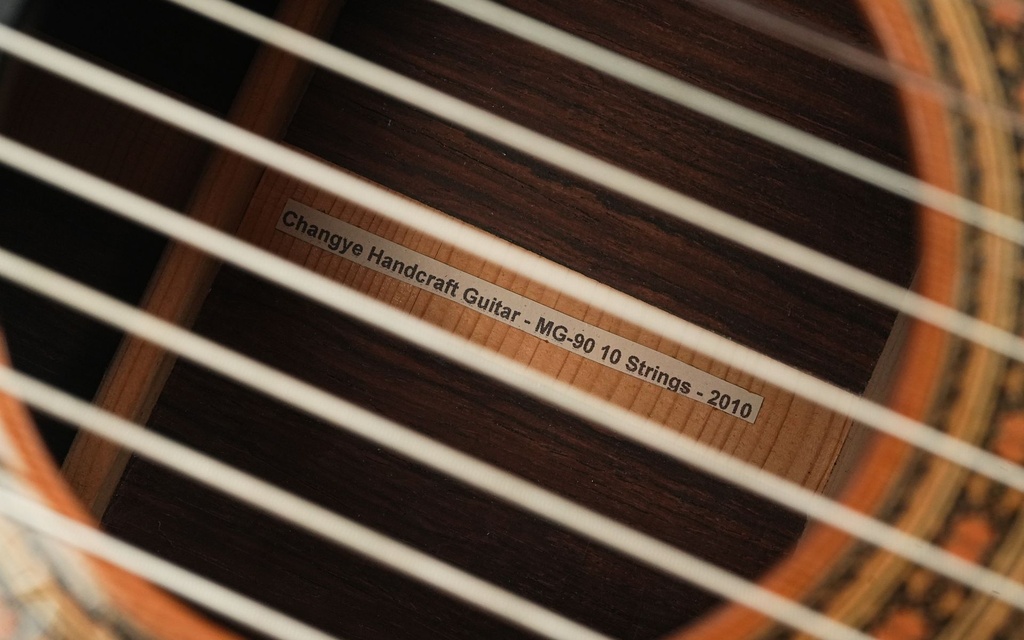 Changye MG90 10 String 2010-12.jpg