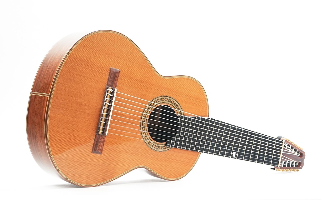 Changye MG90 10 String 2010-13.jpg