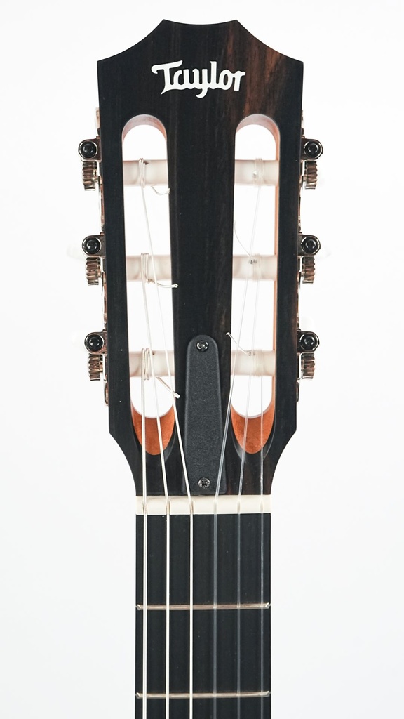 Taylor 214ce-N Sunset Boulevard-4.jpg