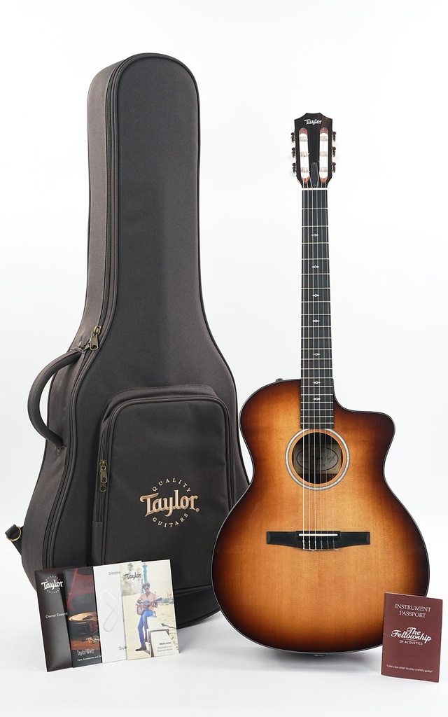 Taylor 214ce-N Sunset Boulevard-1.jpg