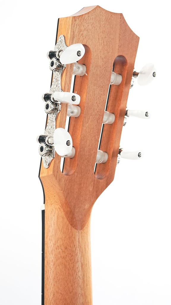 Taylor 214ce-N Sunset Boulevard-5.jpg