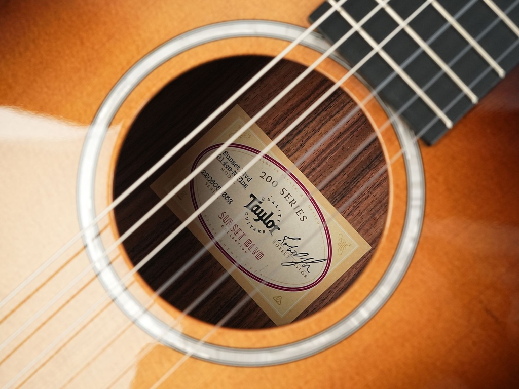 Taylor 214ce-N Sunset Boulevard-11.jpg