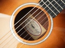 Taylor 214ce-N Sunset Boulevard-11.jpg