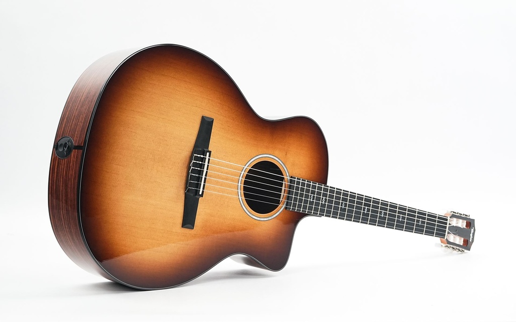 Taylor 214ce-N Sunset Boulevard-12.jpg