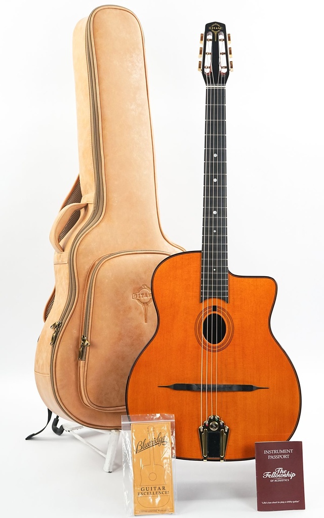 [GIT-DG255] Gitane DG255-1.jpg