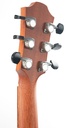 Furch Red Deluxe Gc LR Anthem-5.jpg