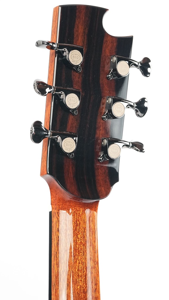 Louis Manteau MD Rosewood Spruce-6.jpg