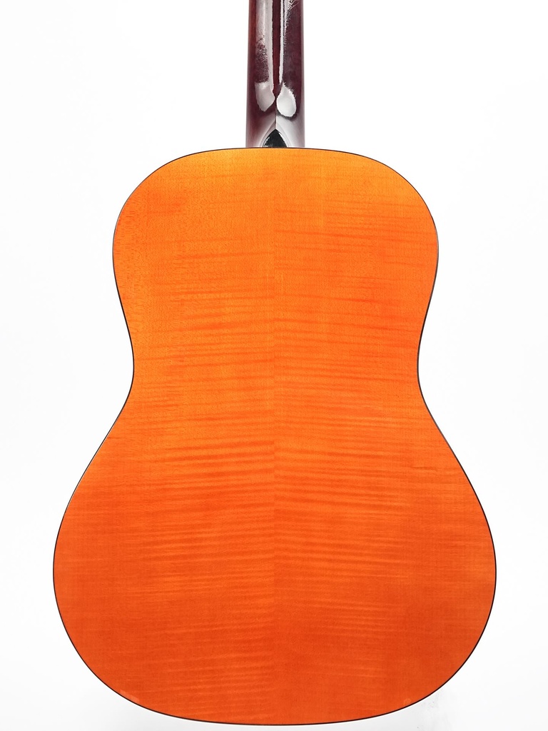 Atkin LG47 Kingfisher TFOA LTD-7.jpg