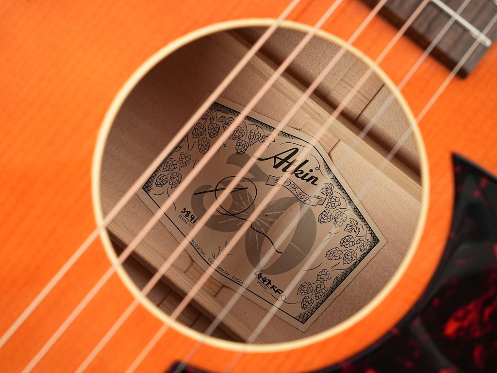 Atkin LG47 Kingfisher TFOA LTD-13.jpg