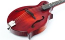 Eastman MD515CC-TV F Style Mandolin-11.jpg