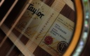 [1201075055] Taylor 814ce Builders Edition Honduran Rosewood Adirondack Shaded Edge Burst 2024-12.jpg