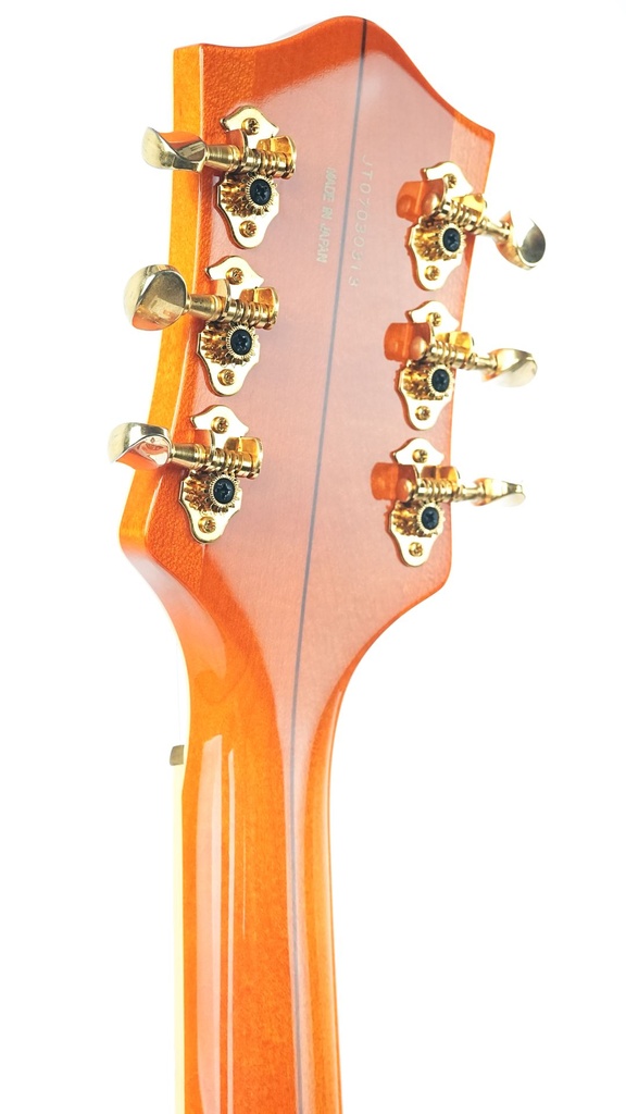 [AP1] Gretsch 6120DSW 2007-5.jpg