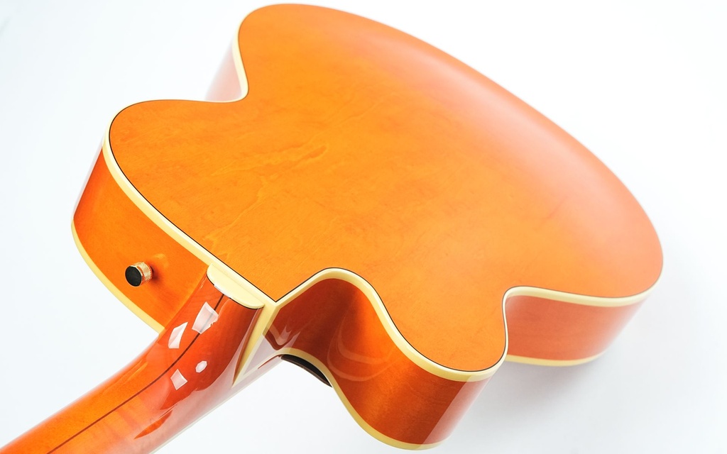 [AP1] Gretsch 6120DSW 2007-9.jpg