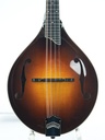 [FA0506-7] Collings MT2 Mandolin-3.jpg