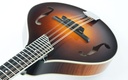 [FA0506-7] Collings MT2 Mandolin-8.jpg
