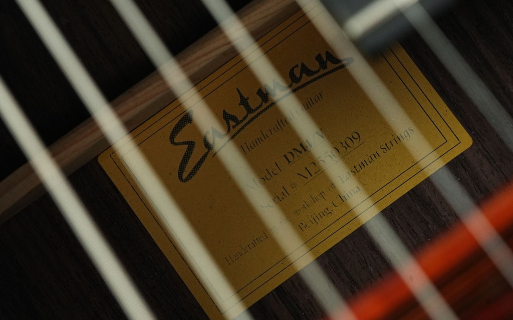 [DM4-v] Eastman DM4-V Gypsy Guitar-10.jpg