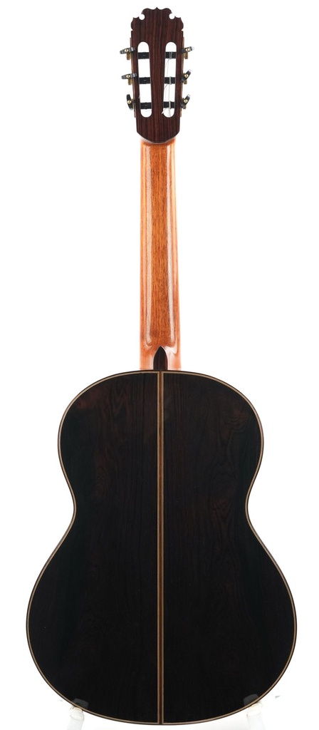 Dirk Janssen D30 Magma Concert Brazilian 2014-8.jpg