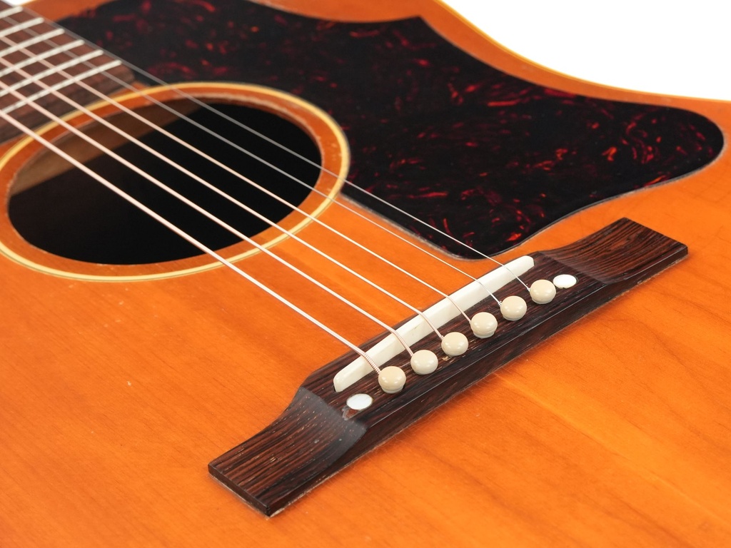 Gibson J50 Mahogany Spruce 1955-10.jpg