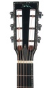 BSG P37F 41 style Parlor Amazon Rosewood-4.jpg