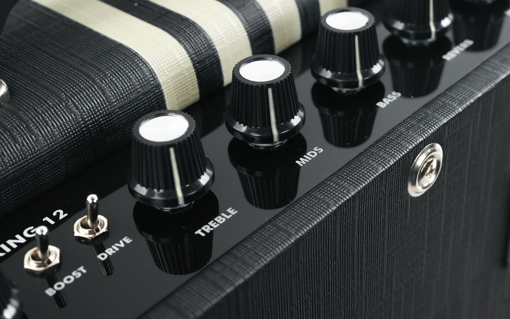 [1822RBC_EU] Supro Delta King 12 Black Cream-10.jpg