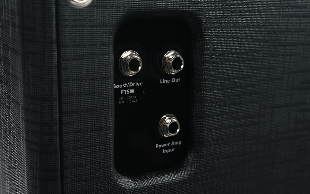 [1822RBC_EU] Supro Delta King 12 Black Cream-13.jpg