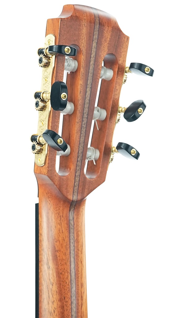 Lowden S32J Jazz Nylon Crossover B-Stock #28383-5.jpg