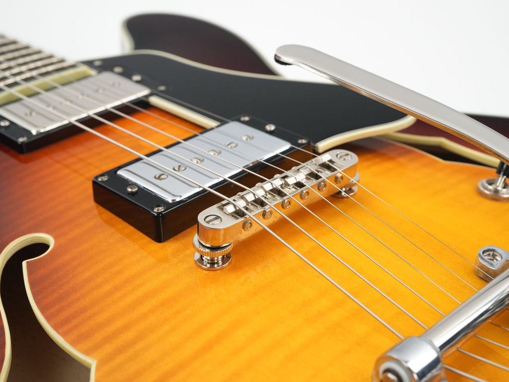 Eastman T486B Sunburst 2018-10.jpg