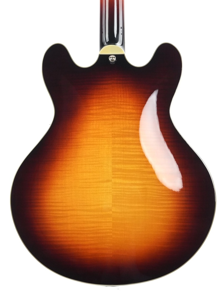 Eastman T486B Sunburst 2018-6.jpg