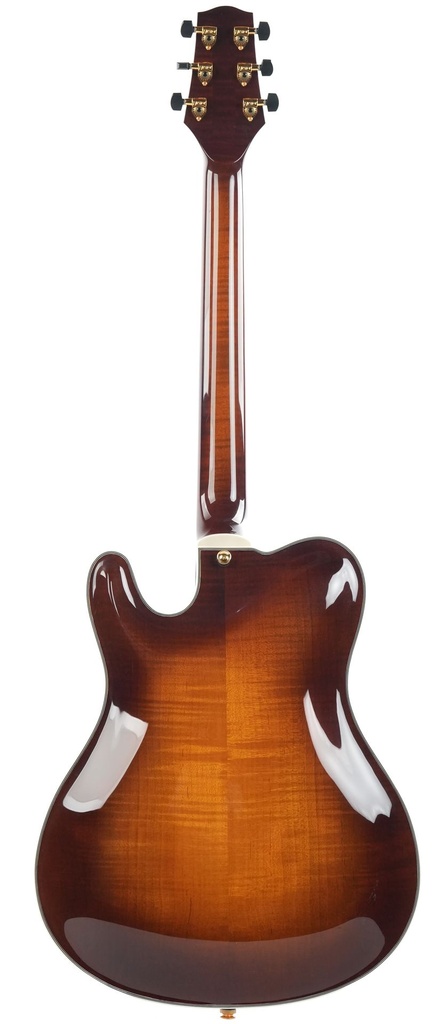 Tim Bram Tribute Archtop Carved Top Sunburst-6.jpg