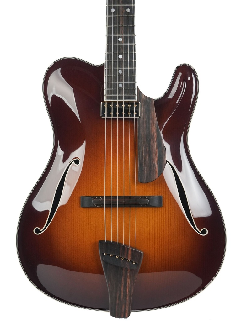 Tim Bram Tribute Archtop Carved Top Sunburst-3.jpg