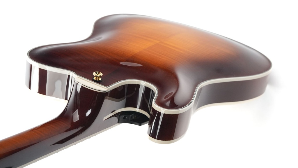 Tim Bram Tribute Archtop Carved Top Sunburst-9.jpg