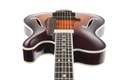 Tim Bram Tribute Archtop Carved Top Sunburst-13.jpg